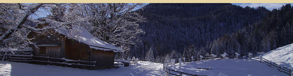 image slideshow